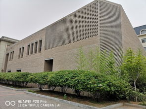 渤海之滨，白河之津——记天津渤海医院